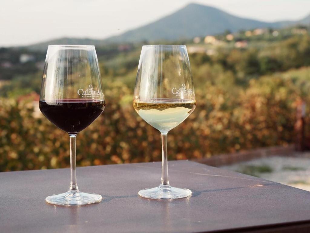 Azienda Agricola Ca' Lunga Cinto Euganeo Dış mekan fotoğraf