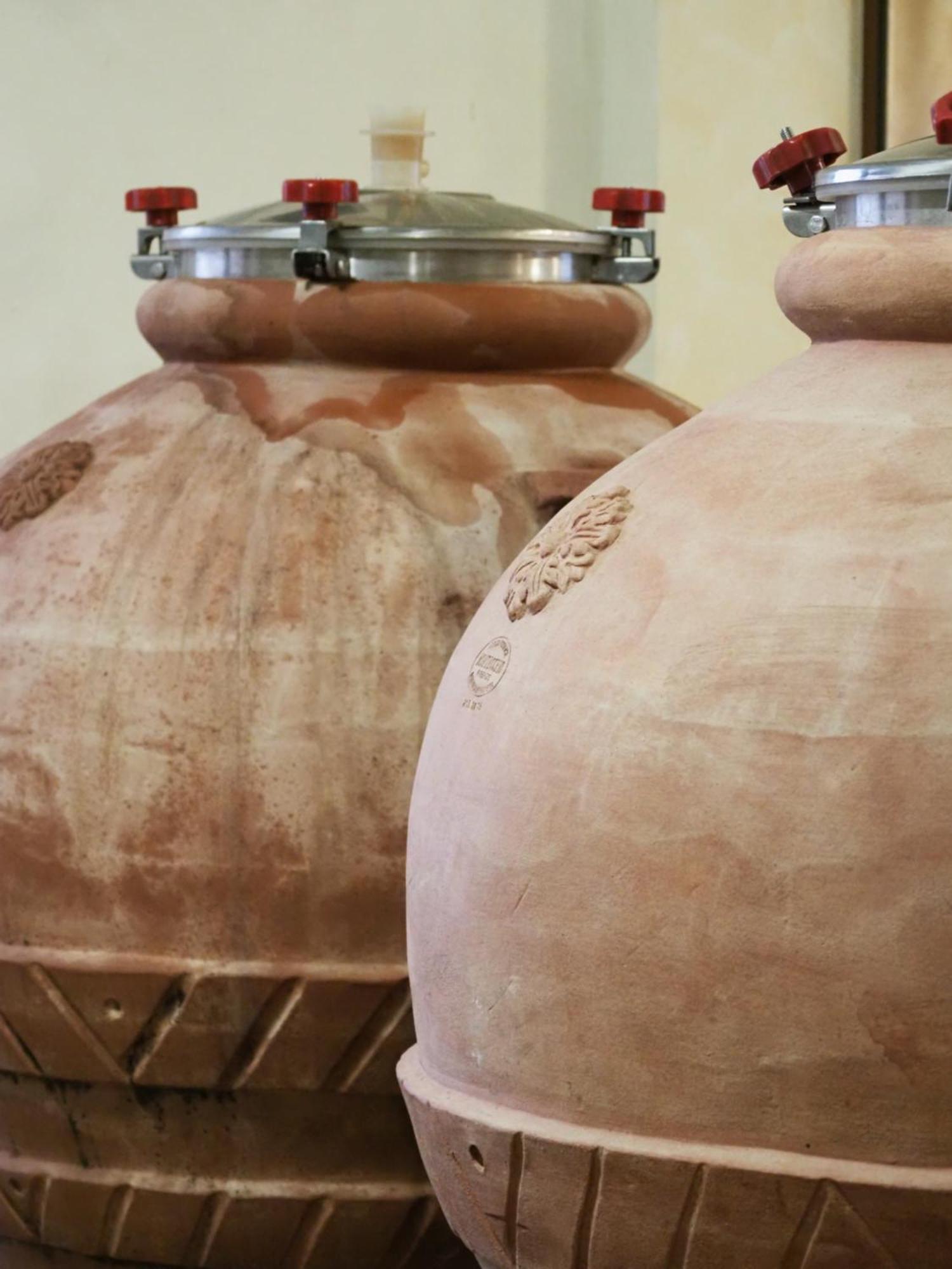 Azienda Agricola Ca' Lunga Cinto Euganeo Dış mekan fotoğraf