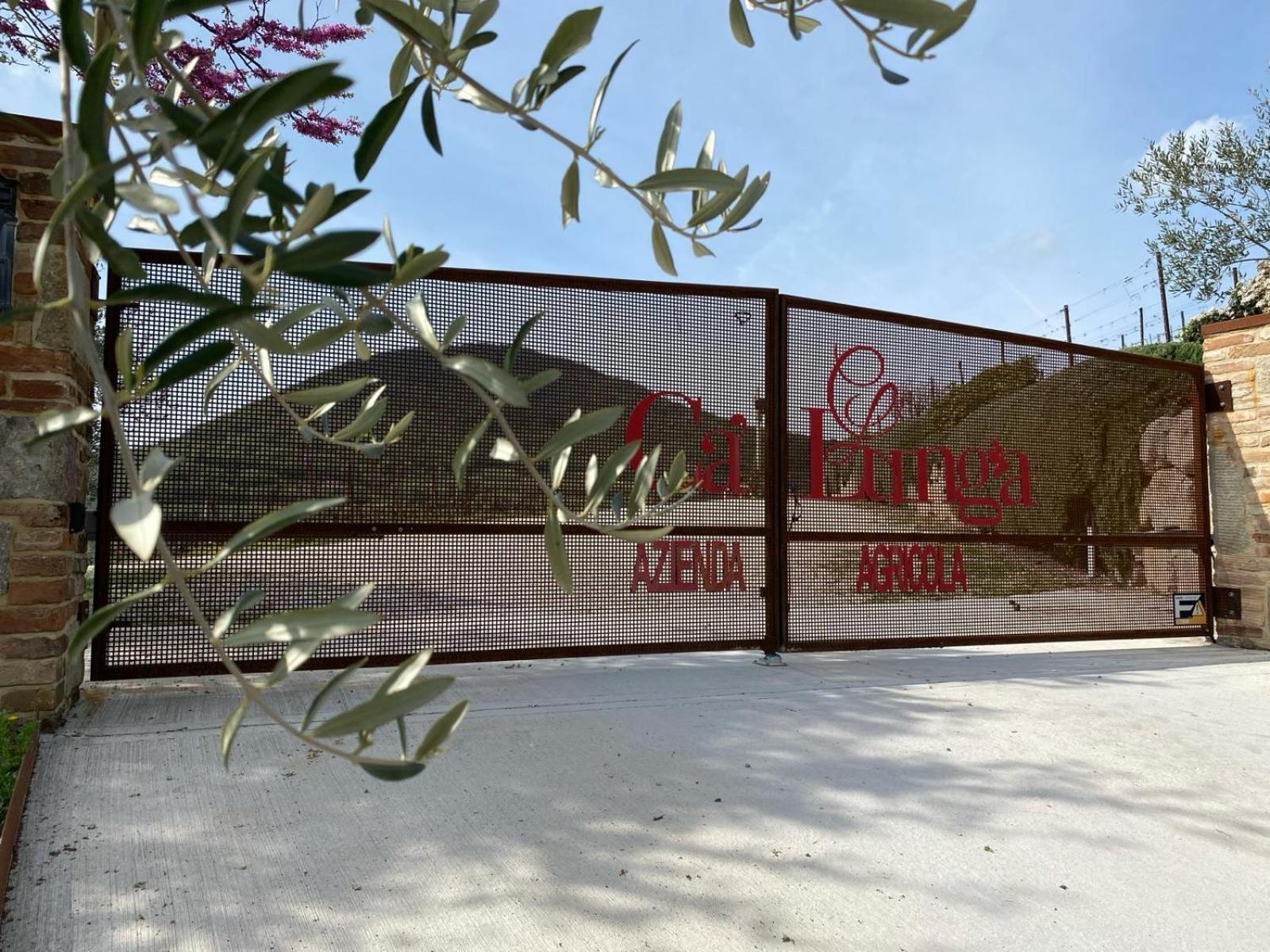 Azienda Agricola Ca' Lunga Cinto Euganeo Dış mekan fotoğraf