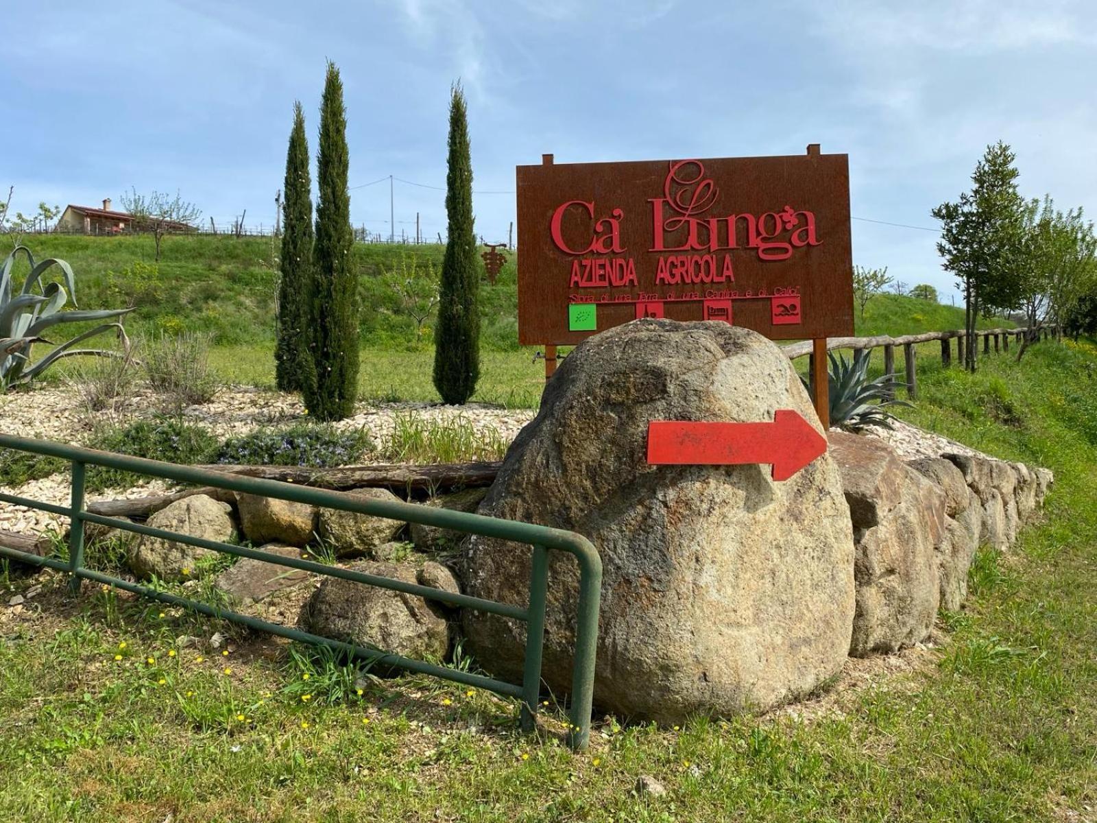 Azienda Agricola Ca' Lunga Cinto Euganeo Dış mekan fotoğraf